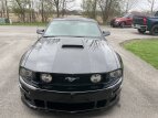 Thumbnail Photo 3 for 2007 Ford Mustang GT Coupe